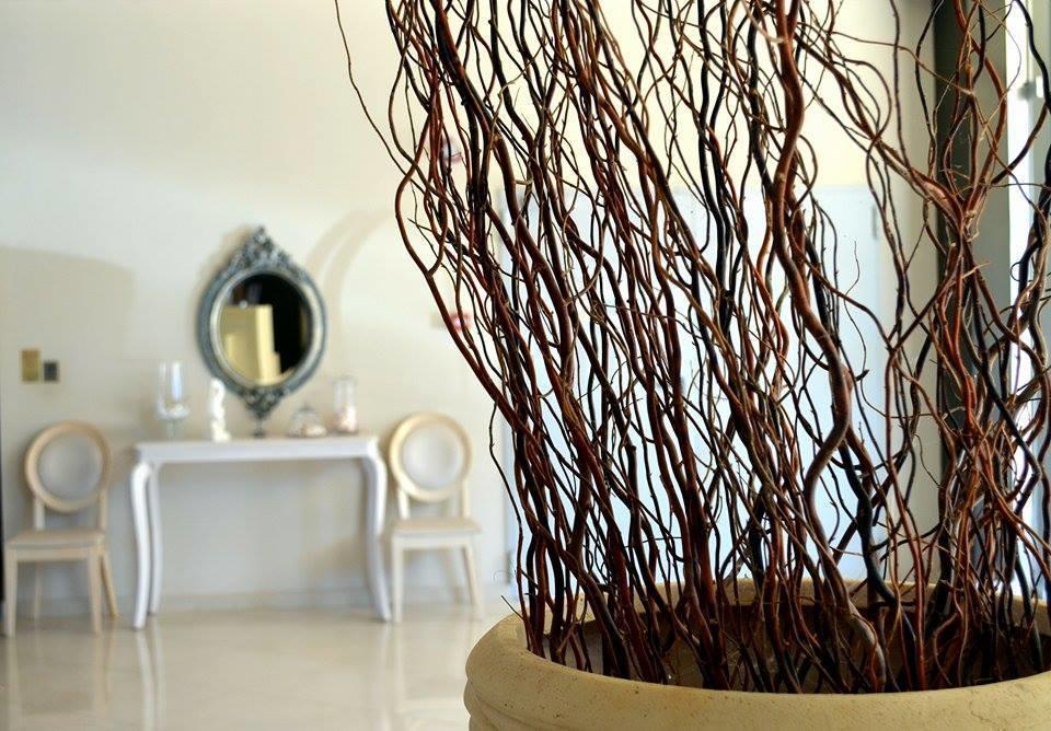 Evia Hotel & Suites Marmari  Extérieur photo